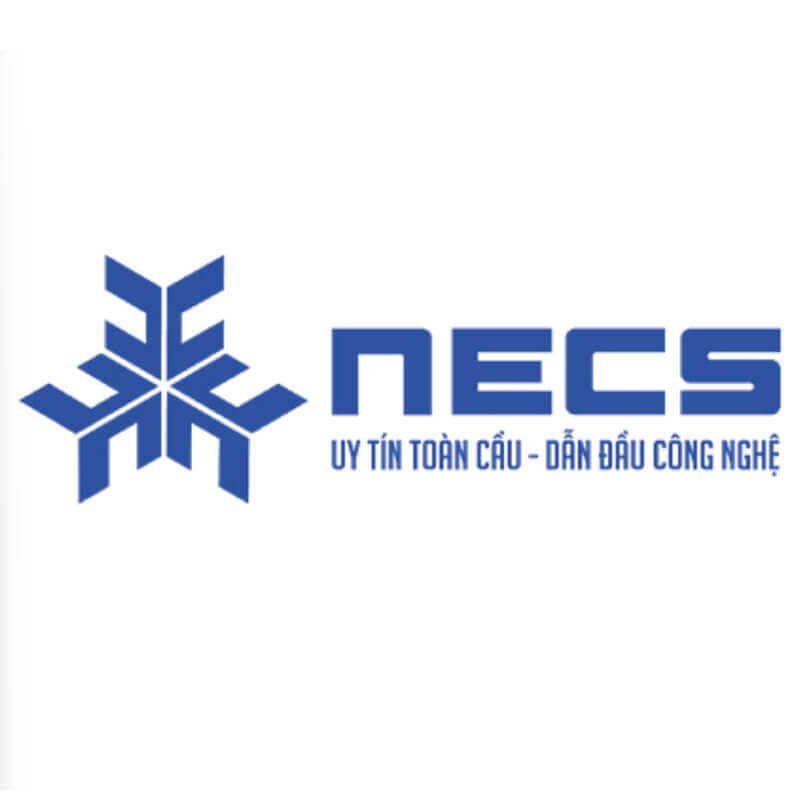NEW ERA COLD STORAGE JOINT STOCK COMPANY NECS